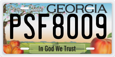GA license plate PSF8009