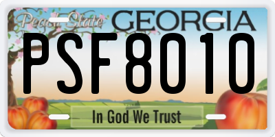 GA license plate PSF8010