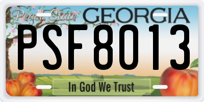 GA license plate PSF8013