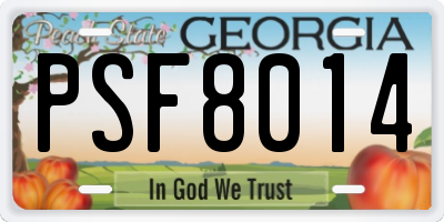 GA license plate PSF8014