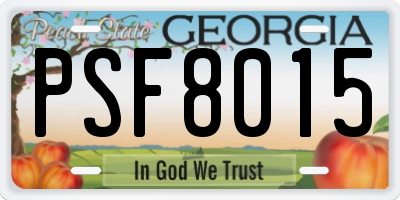 GA license plate PSF8015