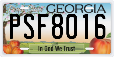 GA license plate PSF8016