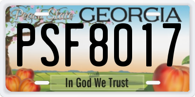 GA license plate PSF8017