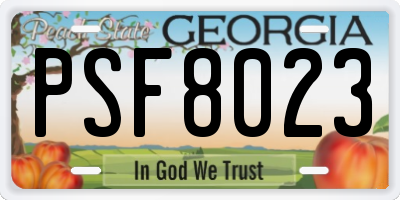 GA license plate PSF8023
