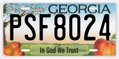 GA license plate PSF8024