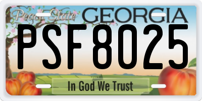 GA license plate PSF8025