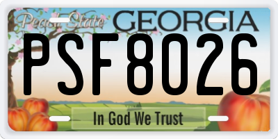 GA license plate PSF8026