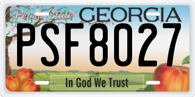 GA license plate PSF8027
