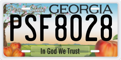 GA license plate PSF8028