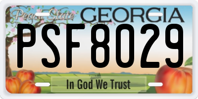 GA license plate PSF8029