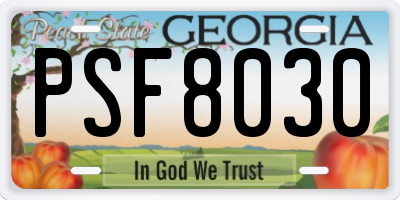 GA license plate PSF8030
