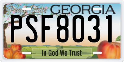 GA license plate PSF8031