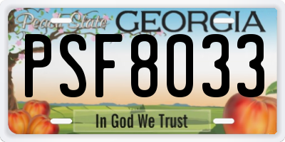 GA license plate PSF8033