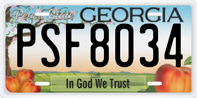 GA license plate PSF8034
