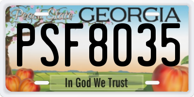 GA license plate PSF8035