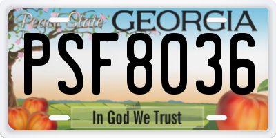 GA license plate PSF8036