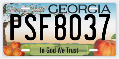 GA license plate PSF8037