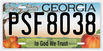GA license plate PSF8038