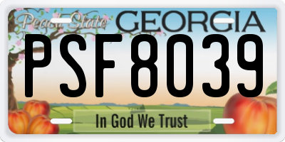 GA license plate PSF8039