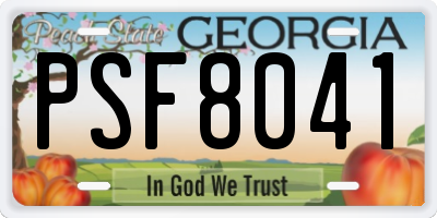 GA license plate PSF8041