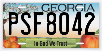 GA license plate PSF8042