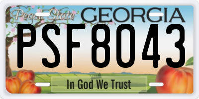 GA license plate PSF8043