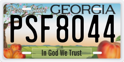 GA license plate PSF8044