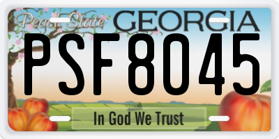 GA license plate PSF8045