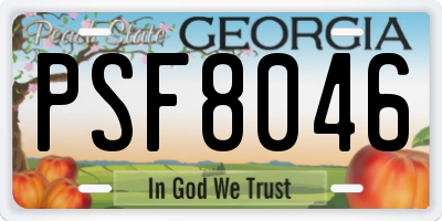 GA license plate PSF8046
