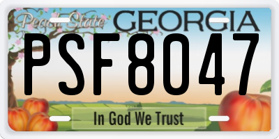 GA license plate PSF8047