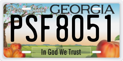 GA license plate PSF8051