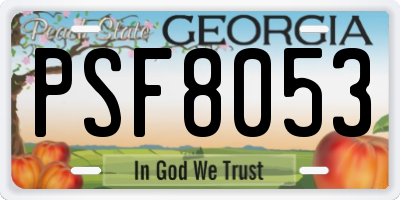 GA license plate PSF8053