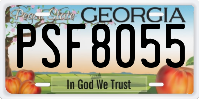 GA license plate PSF8055