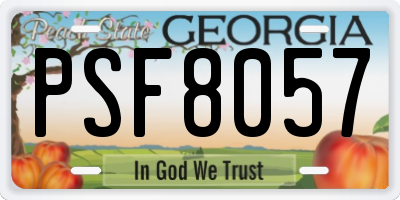 GA license plate PSF8057