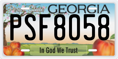 GA license plate PSF8058