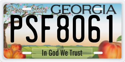 GA license plate PSF8061