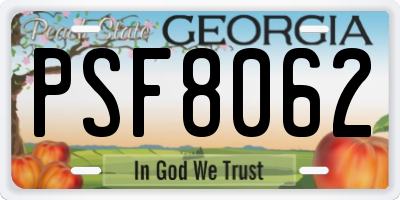 GA license plate PSF8062