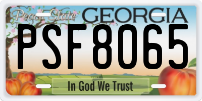 GA license plate PSF8065