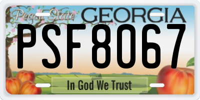 GA license plate PSF8067