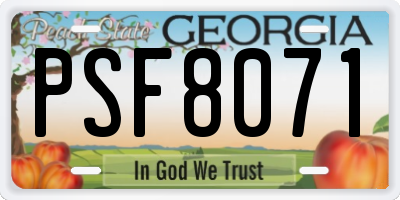 GA license plate PSF8071