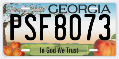 GA license plate PSF8073