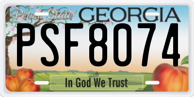 GA license plate PSF8074