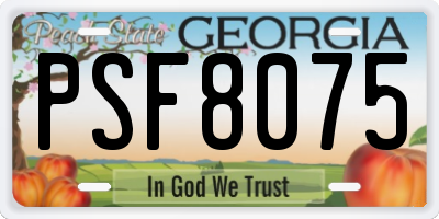 GA license plate PSF8075