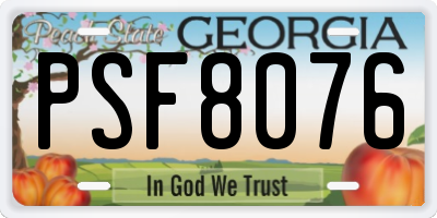 GA license plate PSF8076