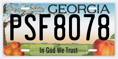 GA license plate PSF8078