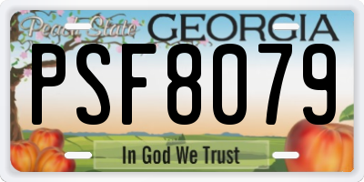 GA license plate PSF8079