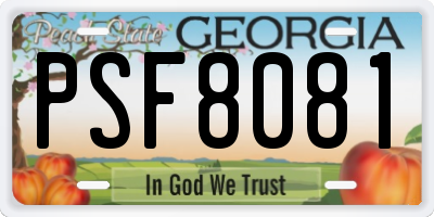 GA license plate PSF8081