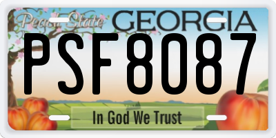 GA license plate PSF8087