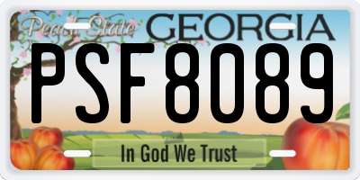 GA license plate PSF8089