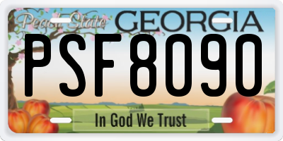 GA license plate PSF8090